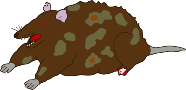 Keith, the blog's rat